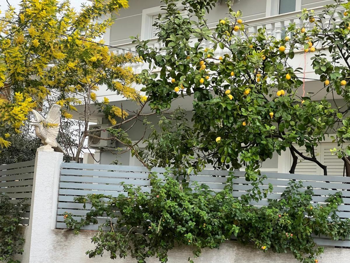 Apartments & Studios Ardian-Mandi Sarande-Albania Eksteriør billede